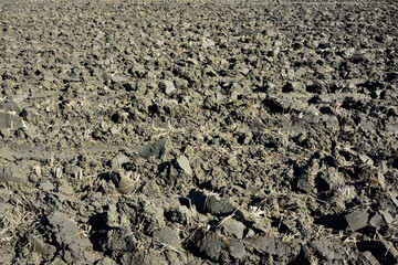 Agricultural field after harvest
