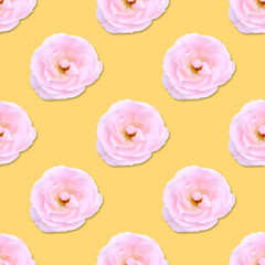 Pink flowers of rose seamless pattern yellow background