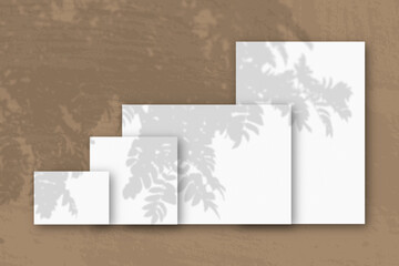 Several horizontal and vertical sheets of white textured paper against a brown wall background. Mockup with an overlay of plant shadows. Natural light casts shadows from a Rowan branch