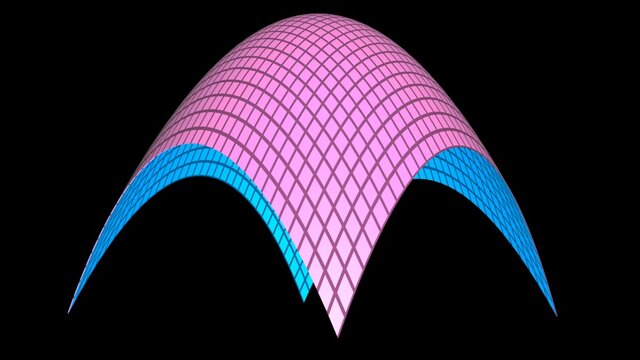 Elliptic Paraboloid . Circular paraboloid geometry polygon mesh. 3d rendering illustration