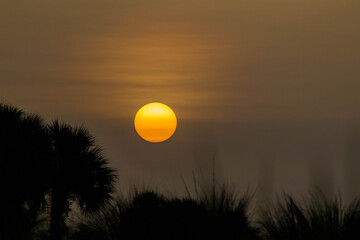 Sunrise over the trees