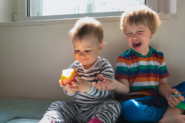 Two toddler brothers play at home