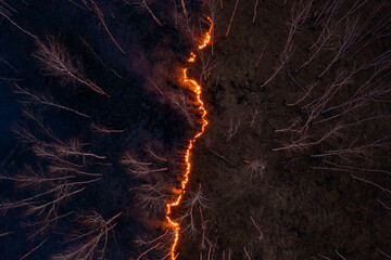 Fire spreading across dark forest