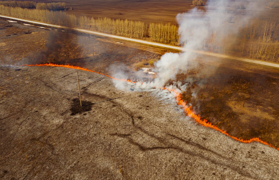 Dangerous fire on plantation in countryside
