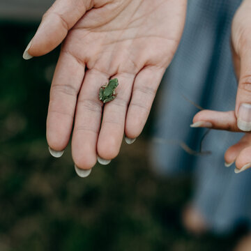 Small Tree Frog held in woman's hand on a farm near Portland Oregon