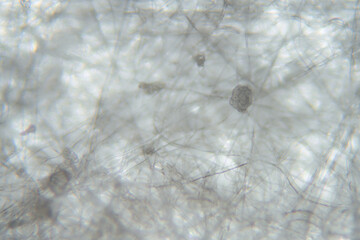 Particles are blocked by the meltblown cloth of the mask