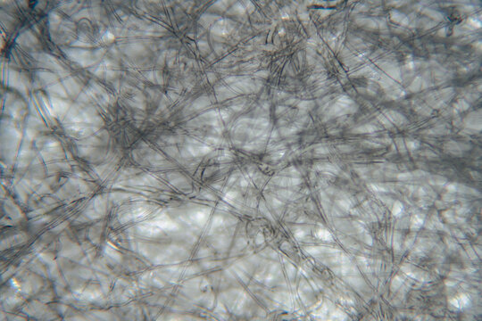 melt-blown fabric of gauze mask cloth texture