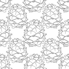 Seamless pattern black line art realistic cedar pine cone on white. Art creative nature hand-drawn background for card, coloring book, wrapping, florist
