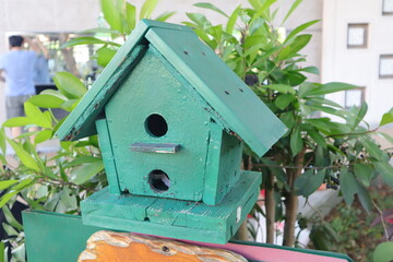 Green bird house bird's nest background texture