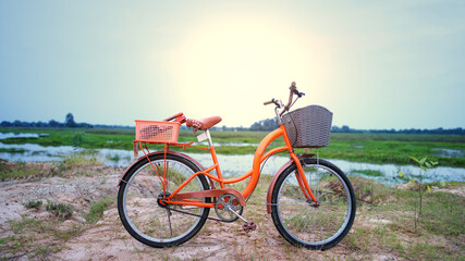 Obraz premium An orange retro-style bicycle with a basket for luggage, parked by the river as the sun shines through the concept of exercise and leisure with leisure activities on the weekend.