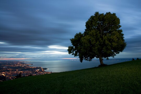 View over Lake Constance at the blue hour, with Rorschach seen from Rorschacherberg Mountain, Switzerland, Europe