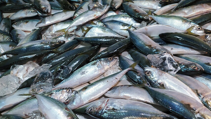 Texture background of fish at fish market