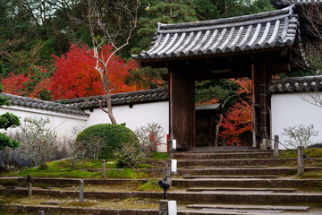 紅葉に染まる京都、一休寺酬恩庵