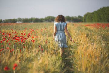 Young woman walking in poppy field