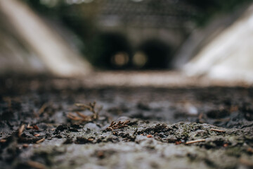 floor level view of pavement