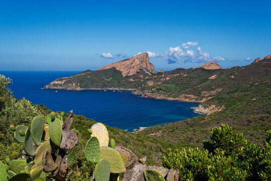 France, Corse-du-Sud, Piana, Scenic view of Gulf of Porto and Calanques de Piana in summer