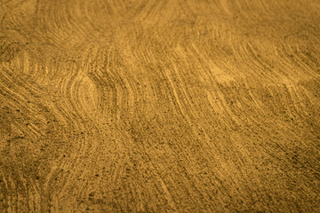 Gold wall treated with textured Rough plaster