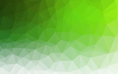 Light Green vector low poly layout.
