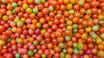 Fresh ripe red tomatoes for cook