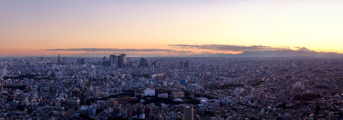 新宿副都心と富士山の落日（2009年11月撮影）