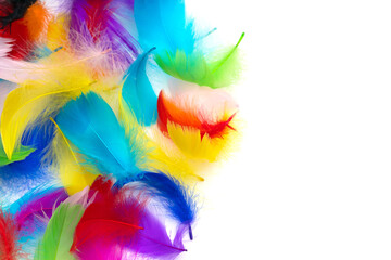 Many colored feathers