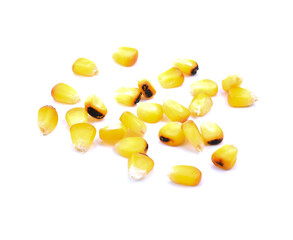 toasted corn on white background closeup