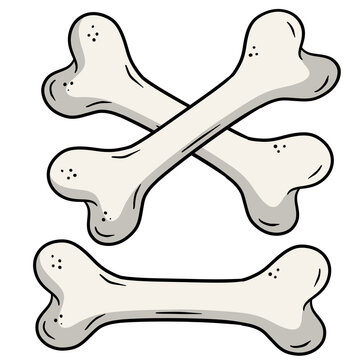 Human bone. Set of skeleton Elements. Crossed object is Jolly Roger and pirate flag. Cartoon flat illustration. Dog toy