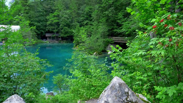 This is a reveal shot of the Blausee in switzerland. It reveals the stunning blue water and you can even sea fish swimming in the lake from this distance. There are no people in the shot.