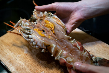 Cut in half of fresh raw and spiny lobster.