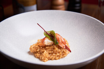 Risotto with lobster dish in a high cuisine restaurant