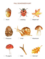 Hand drawn fall autumn scavenger hunt for little kids. Great game for preschool education. Learning game. Acorn, ladybug, leaves, pinecone, snail, mushrooms, stick separated on white background 
