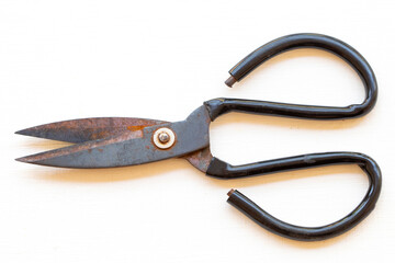 scissors for cut flowers arrangement flat lay style on background white 