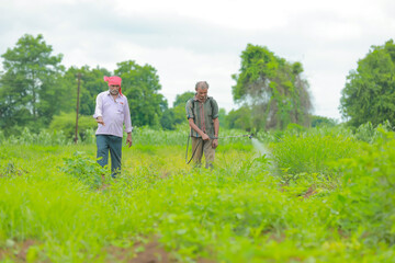 Fototapeta na wymiar indian farmer and labour spraying pesticide at field