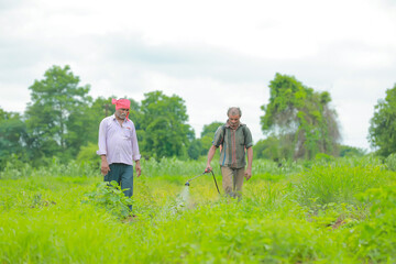 Fototapeta na wymiar indian farmer and labour spraying pesticide at field