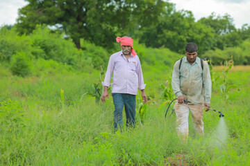 indian farmer and labour spraying pesticide at field