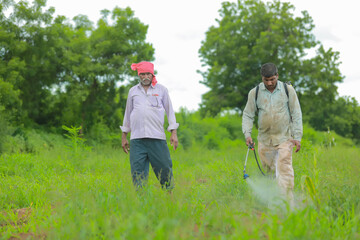 indian farmer and labour spraying pesticide at field