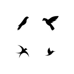 Fototapeta premium Bird Logo