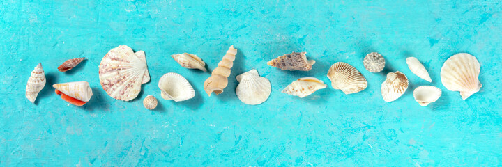 Sea shells panorama on a vibrant blue background, overhead flat lay shot