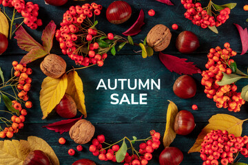 Autumn Sale banner design with autumn leaves, overhead flat lay shot on a blue background