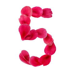 Natural floral character 5 from petals isolated on white background. Number made from pink rose, peony or tulip petals