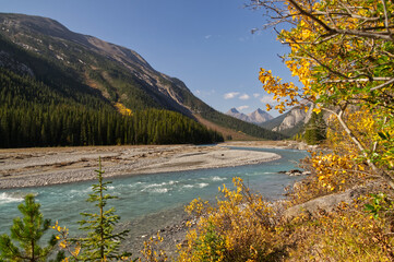 River flowing through the Canadian Rockies