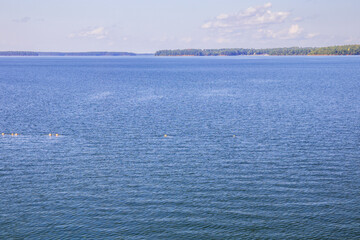 View of Lake Thurmond