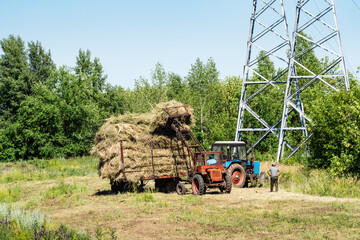 Haymaking. Loading of freshly cut hay with a front loader into a tractor trailer. The picture was taken in the summer in Russia, in the countryside