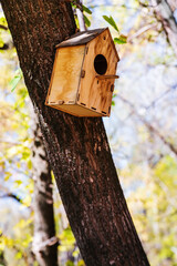Wooden birdhouse attached to a tree trunk in a city park. The picture was taken in autumn in Russia, in the city of Orenburg