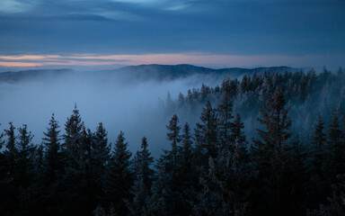 Twilight foggy forest an mountain landscape in central Norway