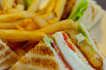 Close up shot of sandwich with french fries