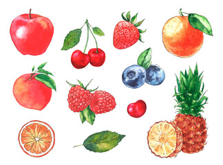 Watercolor illustrations with different fruits and berries isolated on the white background
