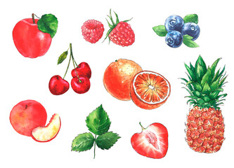 Watercolor illustrations with different fruits and berries isolated on the white background