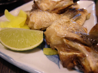 Close up shot of grill Fish Collar