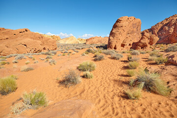 Arid scenery of Valley of Fire, Nevada, USA.